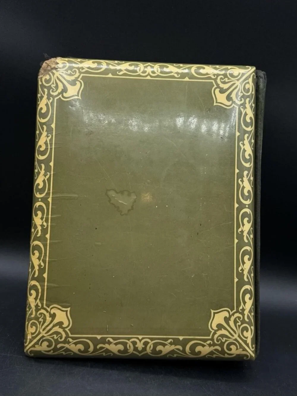 Victorian Green Celluloid Cherubs Dragonfly Photo Album Antique No Latch READ